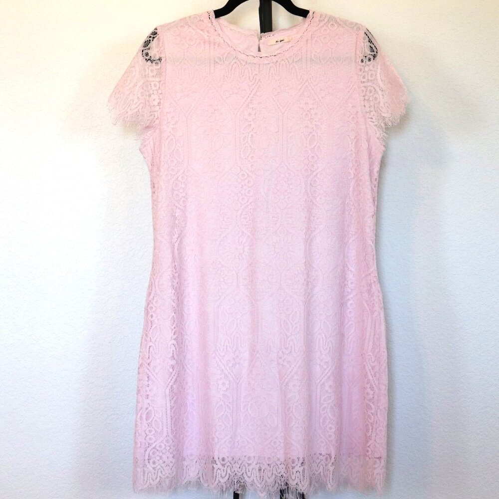 Francesca's | Mi Ami Pastel Pink Lace Dress
